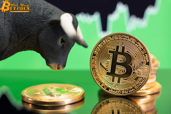 Bitcoin phục hồi về 3.714 đô, thị trường ngập tràn sắc xanh