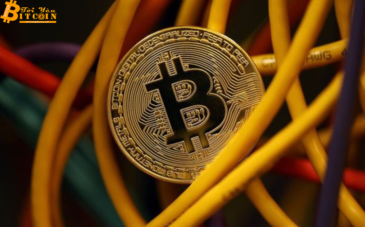 Bitcoin sẽ về đáy 1.165 USD trước khi hồi phục lên 10.000 USD, cược không?