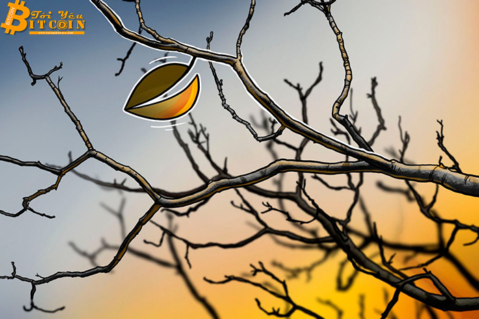 Lại sự cố: Bitfinex bất ngờ “tắt điện” 2 tiếng đồng giữa lúc thị trường đang sôi động
