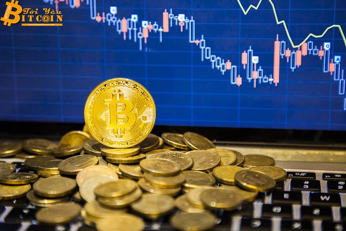 Tỉ lệ thống trị của Bitcoin trong thị trường tiền điện tử có thể lên đến 80%