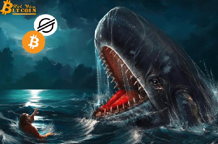 Cá voi xả dần 2 tỷ XLM, nghi vấn chuyển 5.000 Bitcoin lên sàn Bitfinex