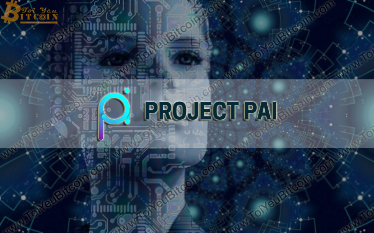 Project PAI
