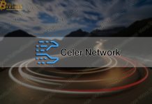 Celer Network