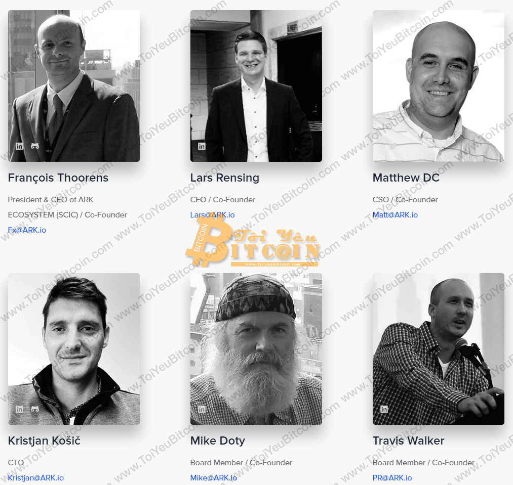 Ark Team