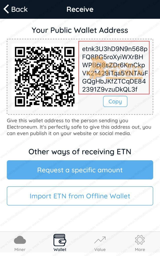 Lấy địa chỉ ví ETN