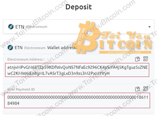 Rút tiền từ ví Electroneum. Ảnh 1