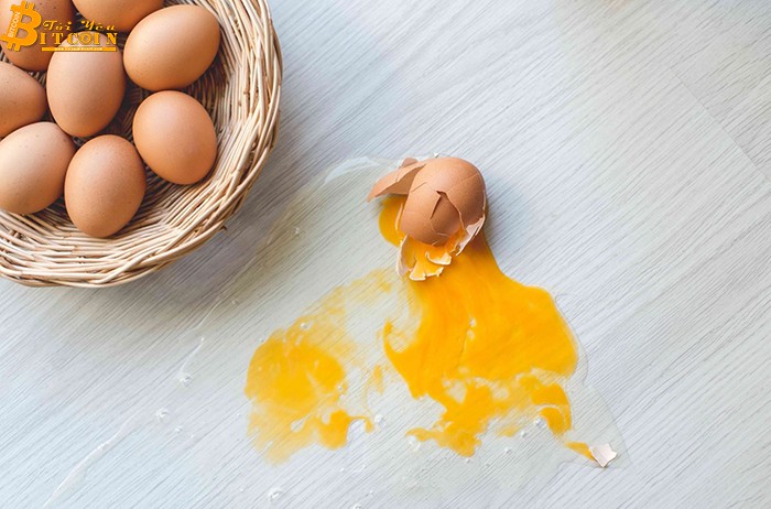 Nghiên cứu của Binance: Ripple (XRP) là lựa chọn tốt để tránh “bỏ hết trứng vào một rổ”