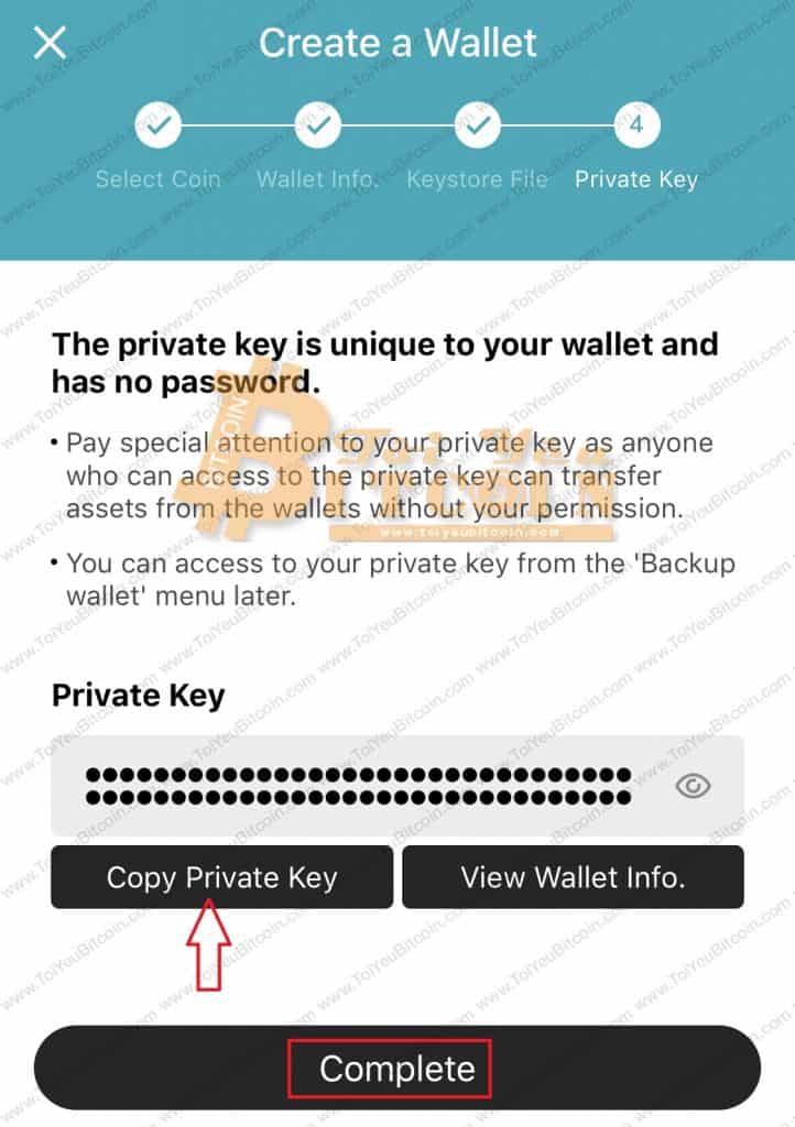Tạo ví ICX coin trên điện thoại với ICONex. Ảnh 7