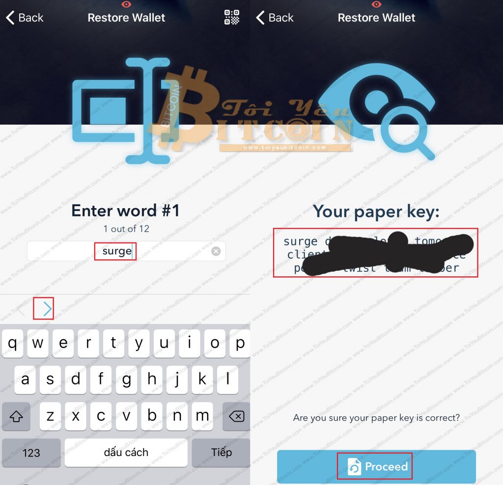 Cách khôi phục ví Verge Tor. Ảnh 4