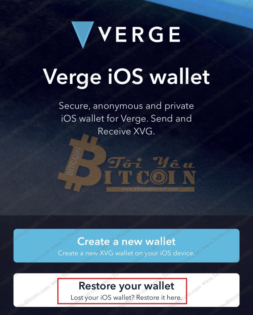 Cách khôi phục ví Verge Tor. Ảnh 1