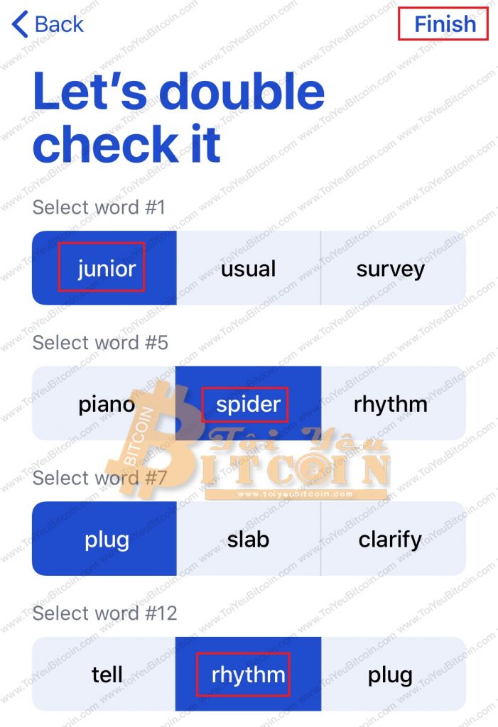 Cách sao lưu ví MEWconnect. Ảnh 6