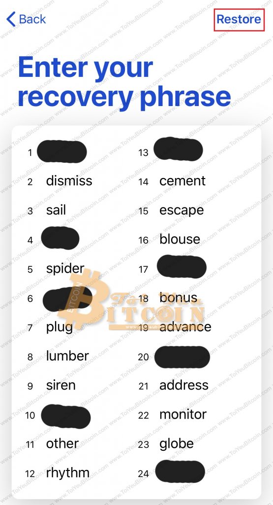 Cách khôi phục ví MEWconnnect. Ảnh 4