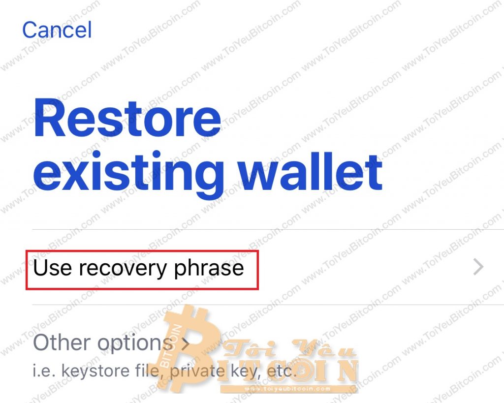 Cách khôi phục ví MEWconnnect. Ảnh 2