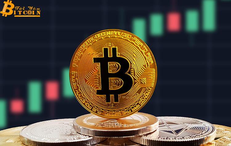 Weiss Ratings: Đợt bull run Bitcoin tiếp theo sẽ không thể vượt quá 20.000 USD