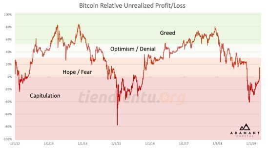 Nhờ vào đợt tăng giá gần đây, tâm lý nhà đầu tư đã chuyển biến tích cực. Nguồn: Adamant Capital.