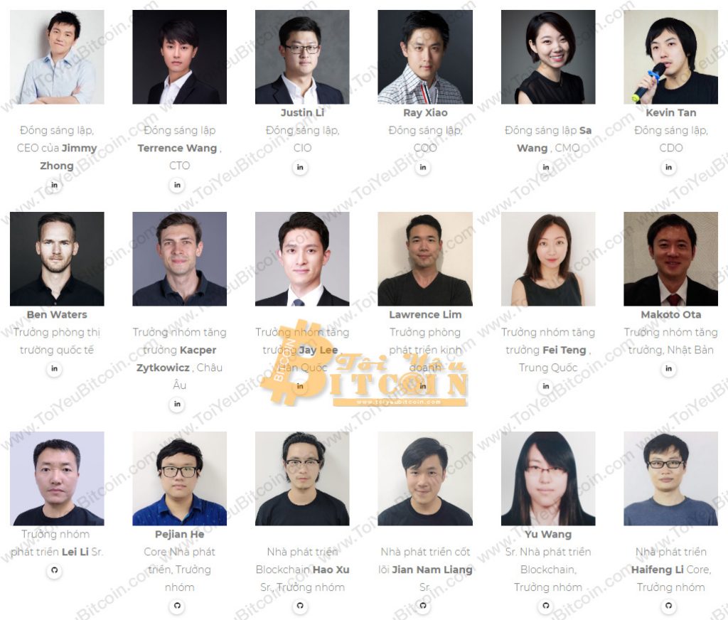 IOST Team