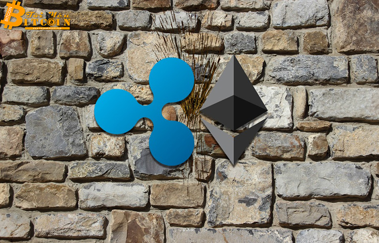 Google Trends 2019: Tìm kiếm Ripple gấp 2 lần Ethereum
