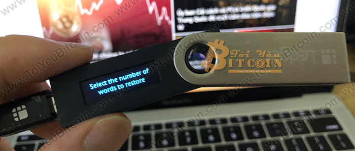 Cách khôi phục ví Ledger Nano S. Ảnh 8