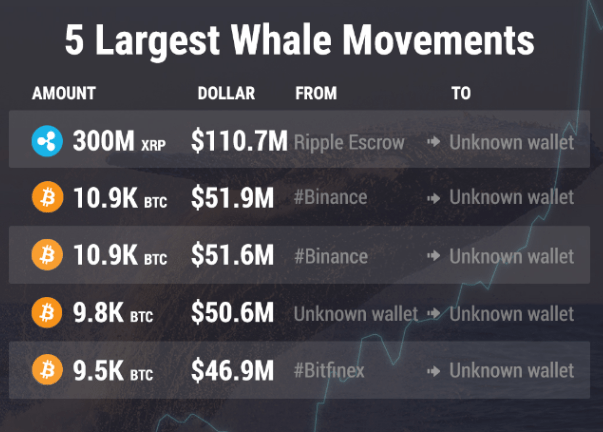 Cá voi Bitcoin động mạnh: 200 triệu USD BTC luân chuyển trong tuần.