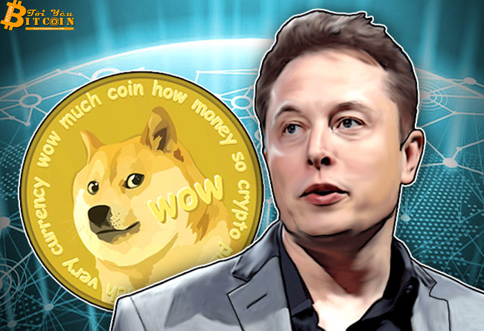 Elon Musk được bầu làm CEO Dogecoin