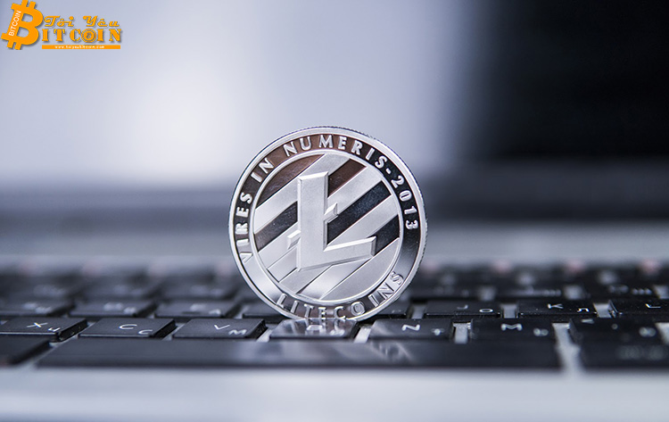 Tăng 100%, Litecoin kết thúc quý I cứ như “chưa từng có thị trường giá giảm”