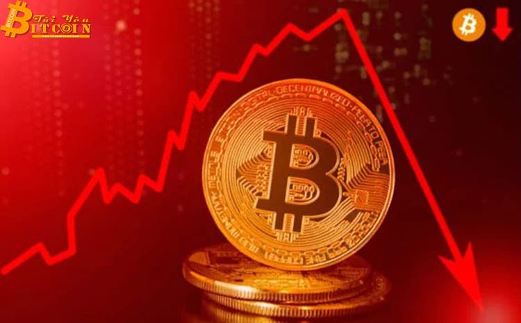 Giá Bitcoin nhảy vọt lên $9.000