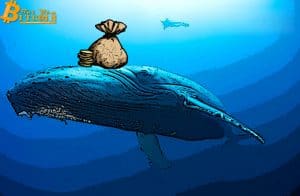 Giá BTC tăng hơn 8.800 USD, cá voi Bitcoin đang thao túng thị trường?