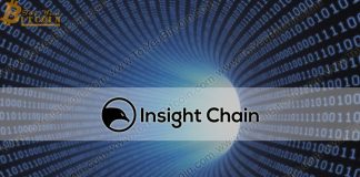 Insight Chain