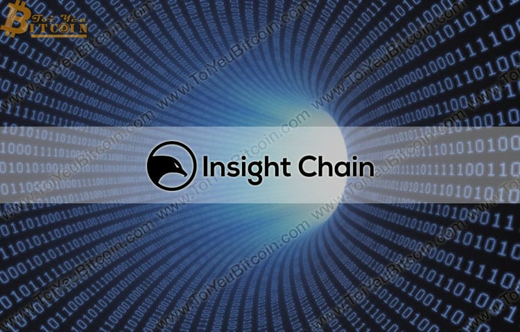 Insight Chain