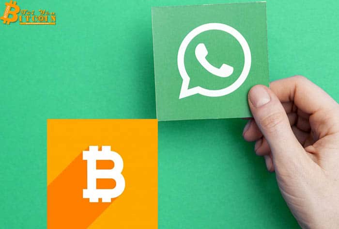 WhatsApp giới thiệu dịch vụ gửi và nhận Bitcoin (BTC) hay Litecoin (LTC)