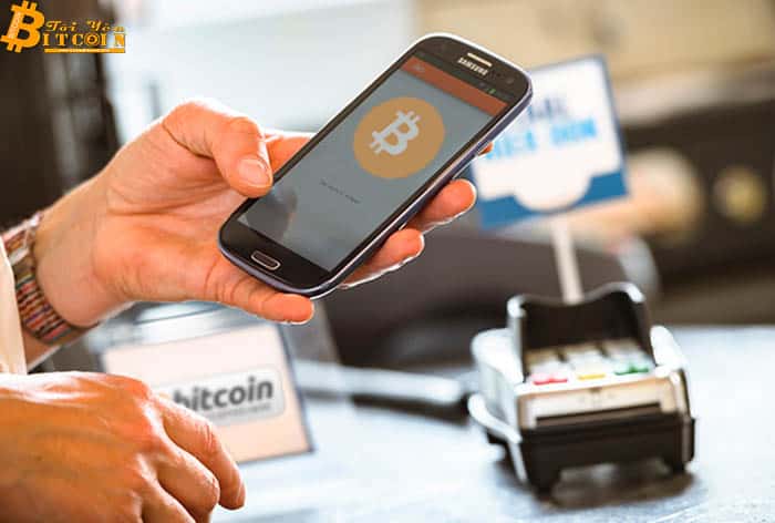 Đã có 732.982 địa chỉ ví Bitcoin hiện đang sở hữu nhiều hơn 1 BTC