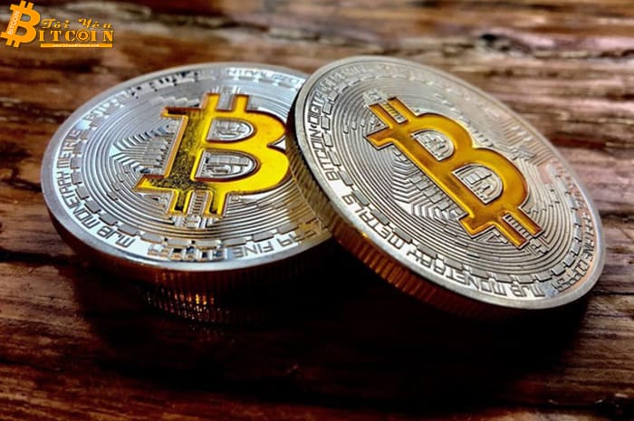 Lịch trình Hardfork của Bitcoin Cash bị gián đoạn vì lỗi phần mềm