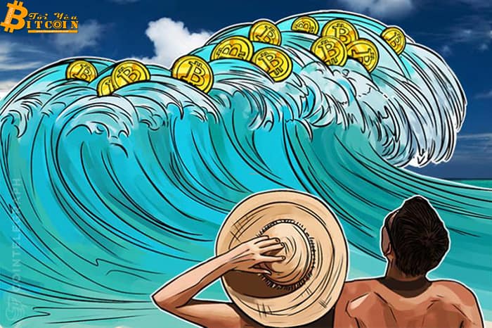 Chuyển đi chuyển lại 122 triệu USD BTC, các cá voi đang bắt đáy Bitcoin?