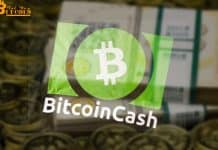 Hơn 50% số lệnh giao dịch Bitcoin Cash đến từ 1 địa chỉ duy nhất?