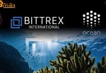 Ocean Protocol - IEO "xịt" của Bittrex, giá OCEAN giảm 80% ngay sau khi niêm yết