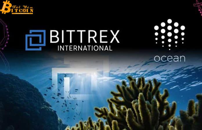 Ocean Protocol - IEO "xịt" của Bittrex, giá OCEAN giảm 80% ngay sau khi niêm yết