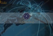 Cosmos