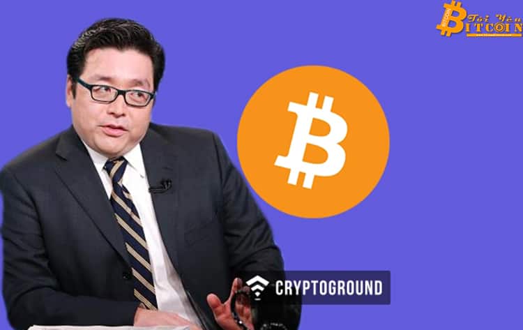 “Thánh dự báo” Tom Lee đã trở lại với dự đoán đỉnh giá mới năm 2020