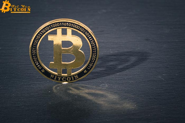 Binance Report: Chỉ số Bitcoin Dominance có thể đạt 80% trước 2020