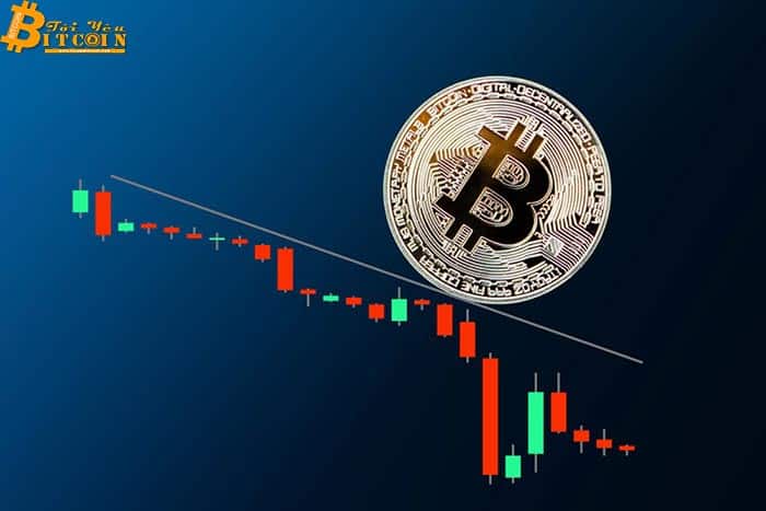 Giá Bitcoin giảm hơn 15% kéo theo toàn bộ thị trường sụt giảm mức hai chữ số