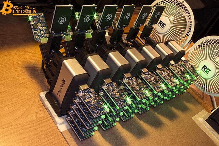 Bitcoin vượt ngưỡng 12.000, ngọn lửa vĩnh hằng hồi sinh trâu đào tại Việt Nam