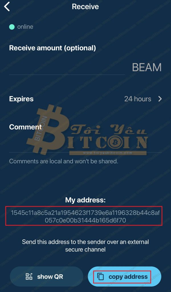 Cách lấy địa chỉ ví Beam coin. Ảnh 2
