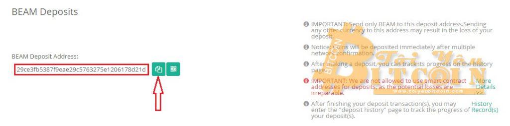 Cách rút tiền từ ví Beam. Ảnh 2