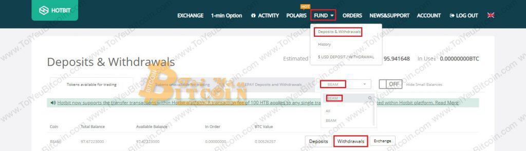 Cách nạp tiền vào ví Beam. Ảnh 1