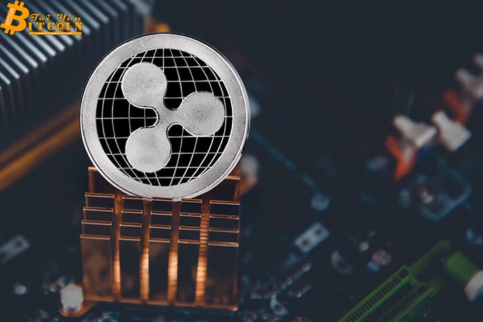 Ripple cam kết báo cáo chính xác hơn về tình hình và khối lượng giao dịch XRP