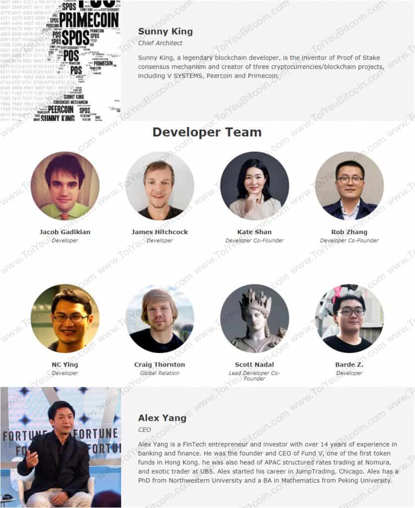 V Systems Team