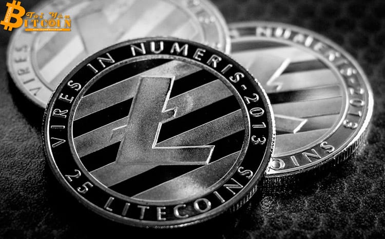 Charlie Lee: Sự kiện halving tháng 8 sẽ là “cú sốc” đối với Litecoin