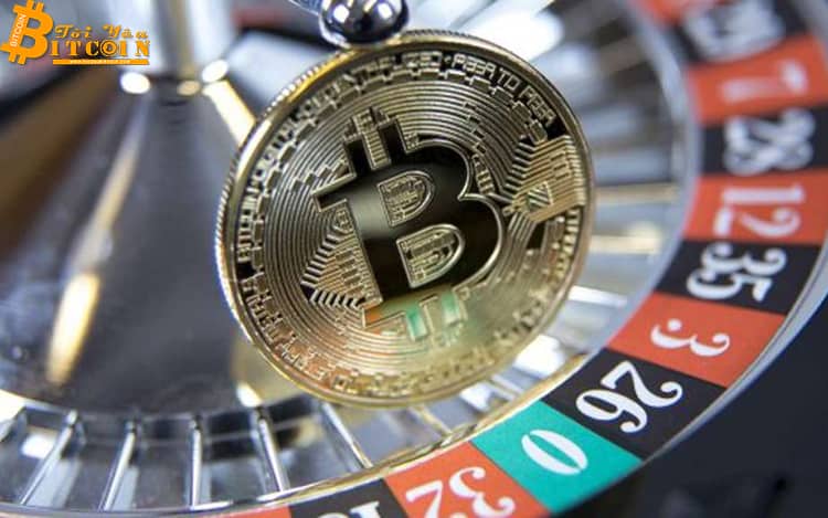 “Phố Wall là người điều khiển công cụ cờ bạc Bitcoin”