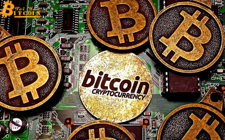 Delphi Digital: “60% Bitcoin vẫn nằm im trong suốt 1 năm qua, mặc cho mức tăng trưởng 220%”