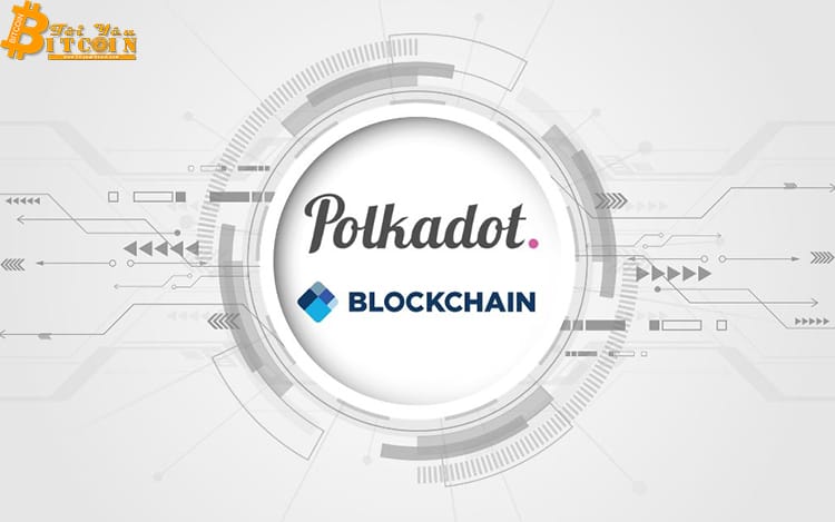 Ví blockchain hỗ trợ Polkadot 